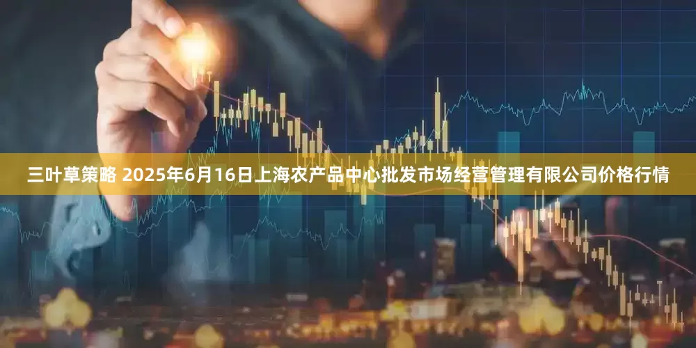三叶草策略 2025年6月16日上海农产品中心批发市场经营管理有限公司价格行情