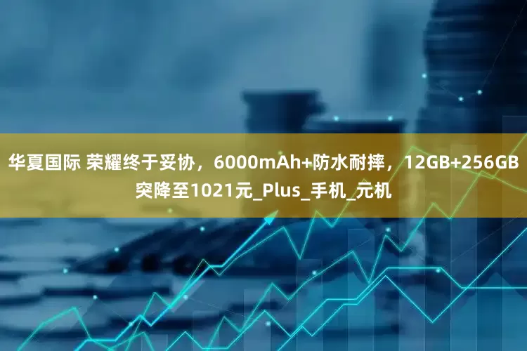 华夏国际 荣耀终于妥协，6000mAh+防水耐摔，12GB+256GB突降至1021元_Plus_手机_元机