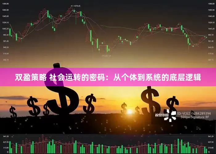 双盈策略 社会运转的密码：从个体到系统的底层逻辑