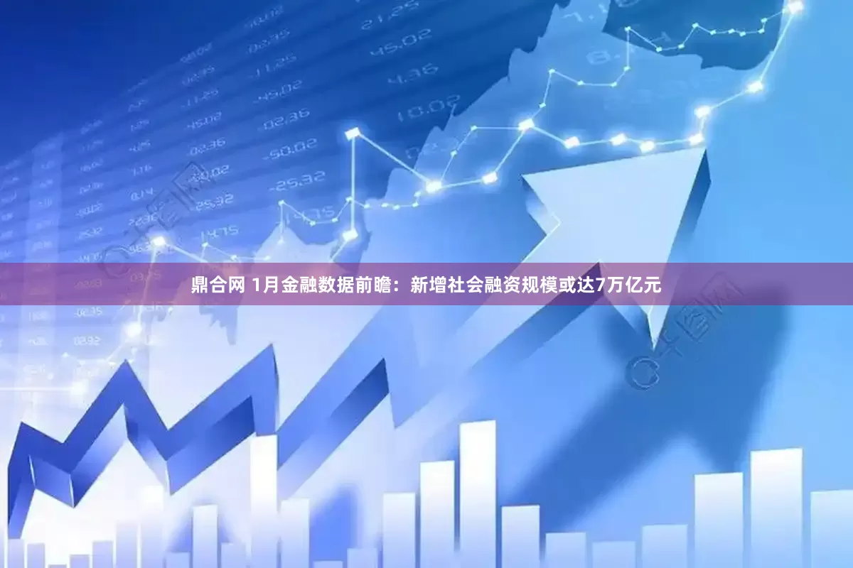 鼎合网 1月金融数据前瞻：新增社会融资规模或达7万亿元